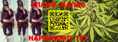 СК Кандалакша