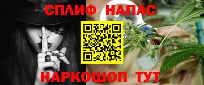СК Кандалакша